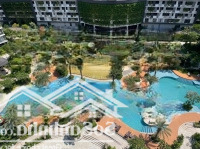 Diamond Centery 96M2 - View Trực Diện Hồ Bơi (Biển Nhân Tạo) Cả Hồ Bơi Diamond Alanta Và Plus