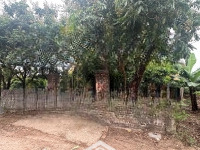 Chính Chủ Gửi Bán Lô Đất 360M2, Đường 8M, Full Thổ Cư, Ngay Cửa Ngõ Dự Án Khu Vui Chơi Của Trump.