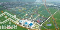 Bán Đất Đấu Giá Dục Tú 1. Diện Tích 90M2, Đường Ô Tô Tránh. Sát Đường Dẫn Cầu Tứ Liên.