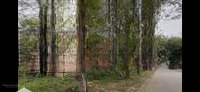 Chính Chủ Cho Thuê Căn Bt 306M2 Tại Khu Đô Thị Hà Phong, Mê Linh