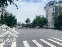 Siêu Lô Góc Luxury - Trục Chính Kinh Doanh - Hàng Hiếm