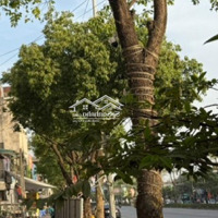 Mặt Phố Ngô Gia Tự - Long Biên Vỉa Hè Rộng Kinh Doanh Tốt. Diện Tích: 56M Giá Rất Tốt.
