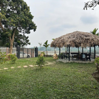 Chính Chủ Bán 450M2 Nhà Vườn View Sông Tại Khánh Thượng, Ba Vì, Hà Nội