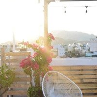 Bán Toà Nhà Căn Hộ Tại Phường Phước Hải, Nha Trang, 10P Có Thu Nhập 30 Triệu/ Tháng