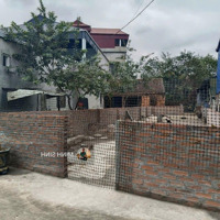 Chính Chủ Nhờ Bán Lô Đất 100M Full Thổ Đai
Địa Chị : Thôn Câu Ngăm Xã Minh Phú Đường Chục Chín