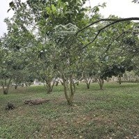 Bán Lô Đất 3600M2 Cạnh Dự Án Lớn Tại Cao Phong 2 Mặt Đường