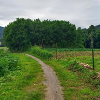 Bán Trang Trại Đẹp Tại Khoan Dụ, Lạc Thủy, Hòa Bình, 3,8 Tỷ, 1976M2