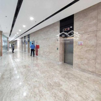 Cho Thuê Văn Phòng Tnr Tower Quận 1 - Nguyễn Công Trứdiện Tích250M2 Giá Thuê 431.000 Vnd/M2
