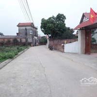 Bán Đất Tại Xã Tân Minh, Sóc Sơn, Hà Nội, Giá Bán 2,2 Tỷ, Ngõ Rộng 6M