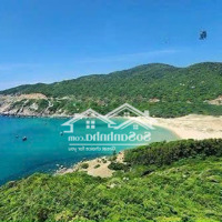 Duy Nhất 1 Lô Đất Nền Full Thổ Cư Ven Biển Phú Yên, Cạnh Chợ An Hòa Giá Chỉ Hơn 1 Tỷ