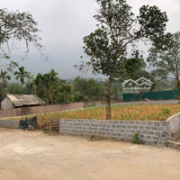 Siêu Phẩm 407M Tại Yên Bình, Thạch Thất - Giá Êm Cho Nhà Đầu Tư! Cơ Hội Vàng Cho Nhà Đầu Tư Tại Yê