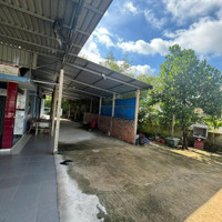 Bán Nhà 667 Ấp Bầu Trâu, Phước Thạnh Tây Ninh. 0933 520 896