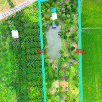 Nhà Vườn Mặt Tiền Đường Long Chiến, 5646 M2, Hoen 25 Loại Cây Ăn Trái, Quy Hoạch Đất Ở