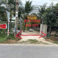 Hàng Ngon, Chậm Là Hết. Lô Đất Ngay Mặt Tiền Đường. Kp Lộc Trát - P. Gia Lộc - Tb. 610 Triệu