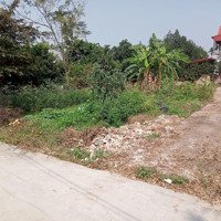 Bán Đất Chính Chủ Tại Xã Trạch Mỹ Lộc, Huyện Phúc Thọ, Hà Nội. Ô Tô Đỗ Cửa. Gần Đường Ql32