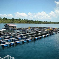Cho Thuê Đầm Tôm Tại Vạn Ninh - Khánh Hoà Diện Tích Từ 1000M2 Giá Từ 40 - 50 Triệu/1000M2