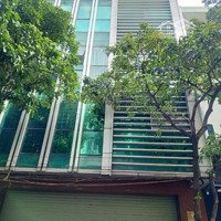 Chính Chủ Cần Bán Gấp Nhà Đường Cửu Long, P. 2, Q. Tân Bình. Dt: 4X23M, Kết Cấu: 5 Tầng Giá Bán 15.9 Tỷ