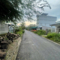 Bán Đất Tại Đường Bình Khánh, Xã Bình Khánh, Cần Giờ, Hồ Chí Minh, 700 Triệu, 1200 M2