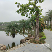 Bán Đất Nền Biệt Thự Song Lập View Hồ Tại Dự Án Nam Hồng Garden Từ Sơn, 56 Triệu/M2, 350 M2