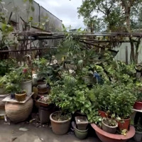 Bán Nhanh 144M Ngang 6M Ngay Võ Văn Hát Giao Lã Xuân Oai Quận 9 Giá Bán 7,5 Tỷ
