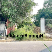 Bán Gấp Đất Ngộp Đ. Hồ Văn Tắng, Tpt, Củ Chi. Dân Cư Hiện Hữu, 220M2, Giá Bán 2 Tỷ Tròn