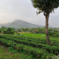 Bán Đất Tại Xã Ba Trại, 6,3 Tỷ, 1800 M2, Mặt Tiền 22M, Ngõ 5M Siêu Hot