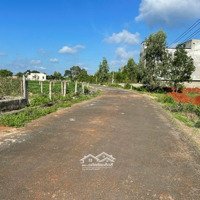Chính Chủ Gửi Bán Lô Đất Mặt Tiền Đường Nhựa 
Xã Bông Trang -Xuyên Mộc-Brvt