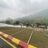 Lô Đất 2 Mặt Tiền Cực Hiếm Tại Phú Mãn, Quốc Oai, View Như Tam Đảo, Ô Tô Tránh Giá Chỉ 28 Triệu/M2