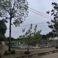Chính Chủ Cần Bán Mảnh Đất Đẹp Lê Hữu Tựu, Đông Anh, 150M,Mặt Tiền5M Phân Lô, Sát Vin Cổ Loa