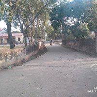 Hàng Đẹp, Hàng Hot, Lô Góc Mai Đình, Sóc Sơn