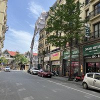 Shophouse 340M The Tera An Hưng Tìm Chủ Nhân Mới Đẳng Cấp Xứng Tầm