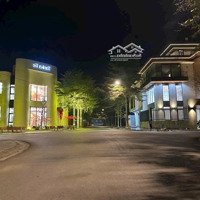 Làn 2 Trục Đường Tl277 Kđt Vườn Sen Gia Chủ Thanh Khoản Một Lô Đất Vạn Người Mê Giá Tốt Nhất Tt