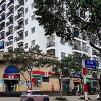 Hiếm hiếm hiếm. 58 đất Phúc Lợi Long Biên chỉ 5.2 tỷ mặt tiền 4m thông số đẹp giá đầu tư