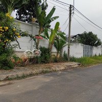 12X30 Hạ 43 Triệu Bán Nhanh Lô Góc Đường 12M