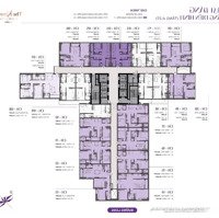 The Ninety Complex - Cđt Mở Bán Quỹ Căn Đẹp Vip Nhất Dự Án. Ký Hđmb Trực Tiếp Cđt