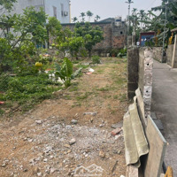 Bán Đất Tại Phường Hoa Động, Hải Phòng, 780, 50M2