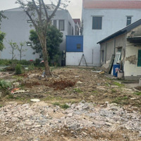 Bán Đất Tại Phường Hoa Động, Hải Phòng, 780, 50M2