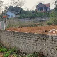 Cần Bán Lô Đất Tại Xã Ba Trại, Ba Vì, Thế Đất Bằng Phẳng