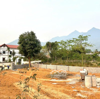 Tha Thiết Bán Mảnh Đất Đẹp Như Tranh 946M2 Chỉ 4,5 Tỷ Tại Minh Quang