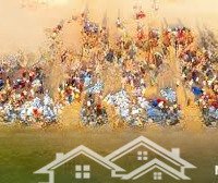 Tổng Hợp Những Lô Đất Cực Đẹp Gần Biển Không Dính Quy Hoạch Và Chưa Qua Đầu Tư Tại Bình Minh