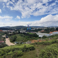 Bán Đất Tại Măng Lin, Phường 7, Đà Lạt, 8 Tỷ, 771 M2 Giá Siêu Hời Bao Đẹp