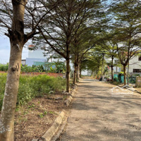Săn Ngay Đất Nền Kdc Thời Báo Kinh Tế, Bưng Ông Thoàn, P. Phú Hữu, Q9,Diện Tích160M2, 57 Tr/M2
