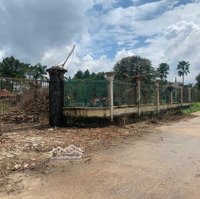 Cần Bán Lômặt Tiềnđường Nhựa Gần Ql51,Thổ Cư Qh Full Ont Xã Phước Thái, Kdc, Giá Đầu Tư Rẻ Nhất Khu Vực
