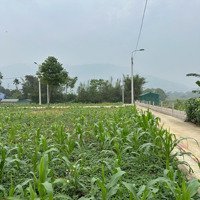 Chính Chủ Bên Em Bán Mảnh Đất Lô Góc Hai Mặt Tiền Nằm Gần Trung Tâm Xã Phú Mãn