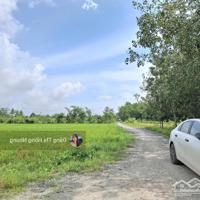 5X28M Full Tc Cây Da, Hiệp Thạnh, Gò Dầu, Tây Ninh, Chỉ 400 Triệu