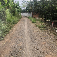 Nền Đất Thổ Cư Bảo Hoà, Xuân Lộc Gần Long Khánh, Ql1A Mà Giá Chỉ Vỏn Vẹn Có 590 Triệu, Còn Thương Lượng