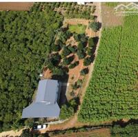 Bán căn nhà vườn 2 mặt tiền cực đẹp 1.774m2 ngay Gần sân bay Liên Khương, Gần Quốc Lộ 27