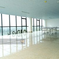 Gấp! Chính Chủ Cho Thuê Mặt Tiền Đường Hai Bà Trưng, Phường Tân Định, Quận 1