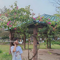Bán Chung Cư 3 Ngủ Tại Thanh Hà Mường Thanh, 3,1 Tỷ, 82 M2, 2 Vệ Sinh View Hồ Sen.
