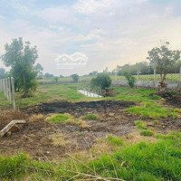 Bán Lỗ Gần 1.000M2 Đất Sẵn Vườn, Đường Ôtô, Shr, Ngay Kênh Đông, Củ Chi